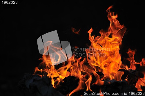 Image of wild fire