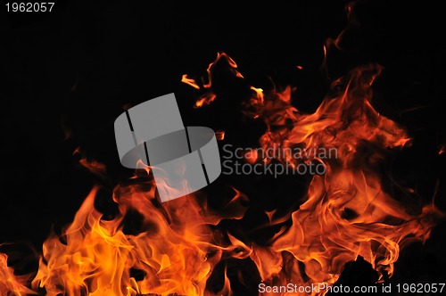 Image of wild fire