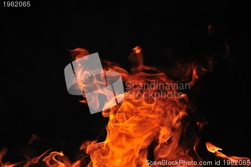 Image of wild fire