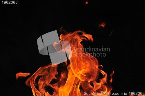 Image of wild fire