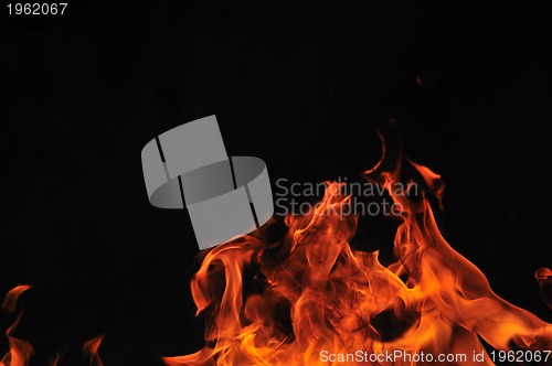 Image of wild fire