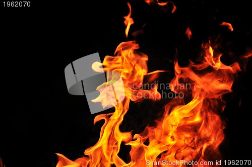 Image of wild fire