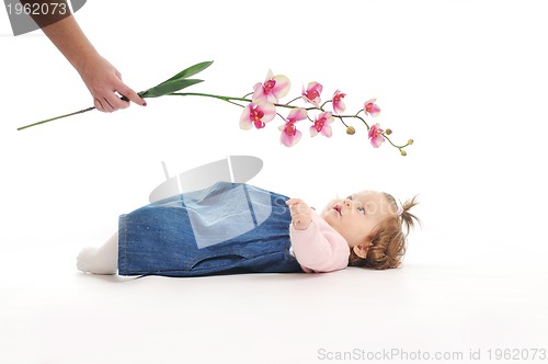 Image of baby flower