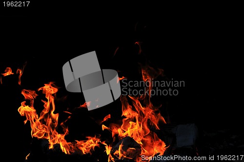 Image of wild fire