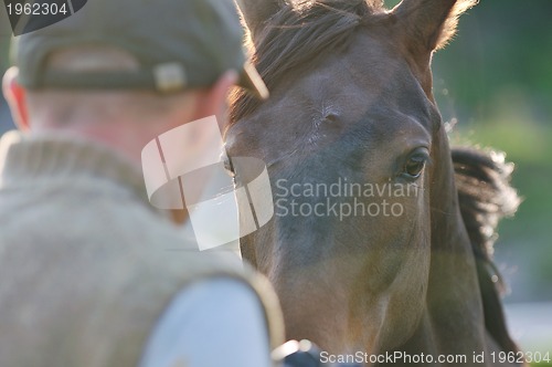 Image of photographer and horse