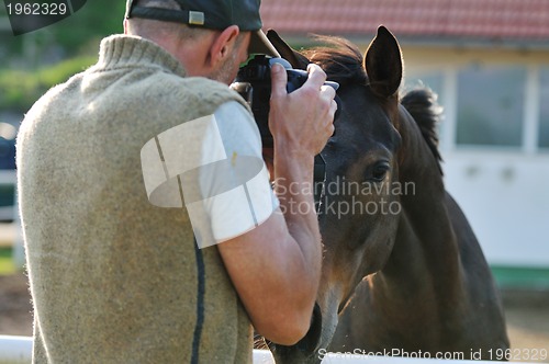 Image of photographer and horse