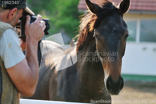 Image of photographer and horse