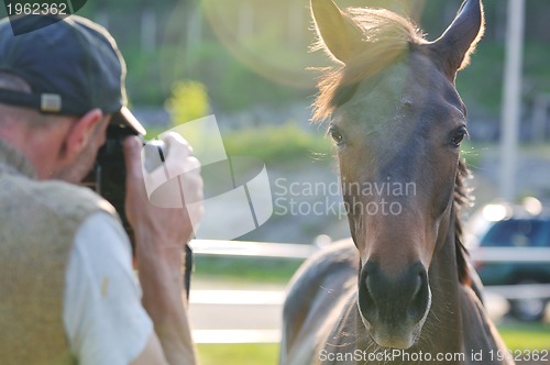 Image of photographer and horse