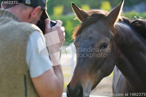 Image of photographer and horse