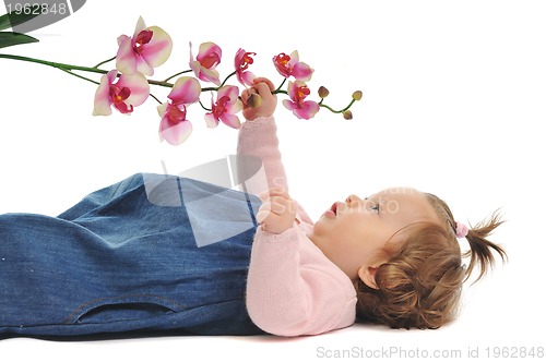 Image of baby isolated 