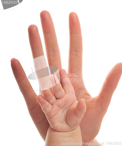 Image of love hand
