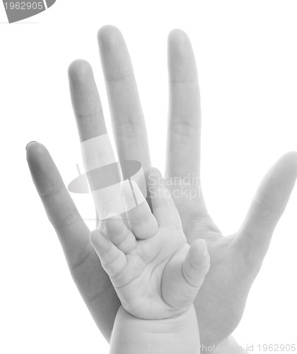 Image of love hand