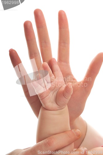 Image of love hand