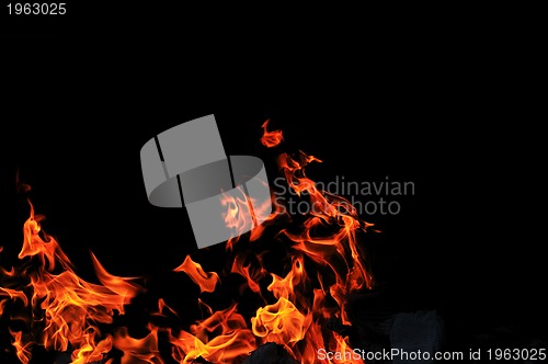Image of wild fire