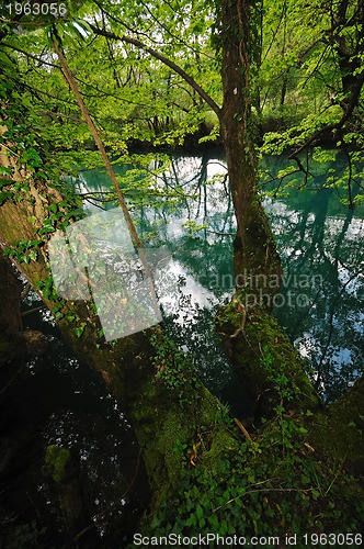 Image of river waterfall wild 