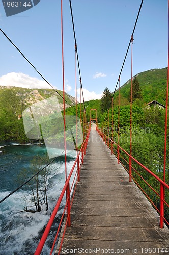 Image of bridge river wild