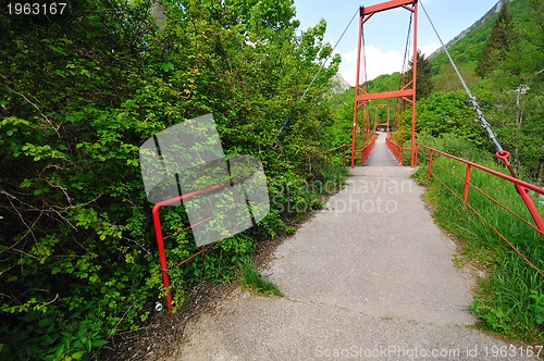 Image of bridge river wild