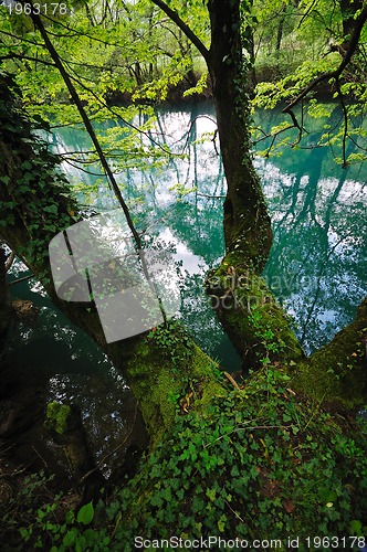 Image of river waterfall wild 