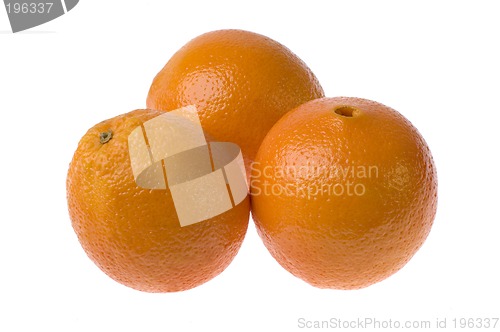 Image of orange