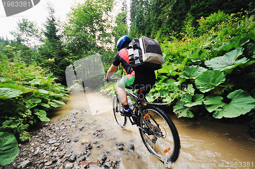 Image of wetmtb