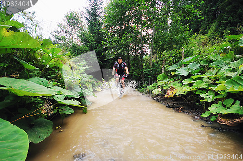 Image of wetmtb