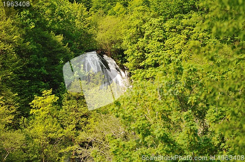 Image of river waterfall wild 