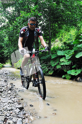 Image of wetmtb