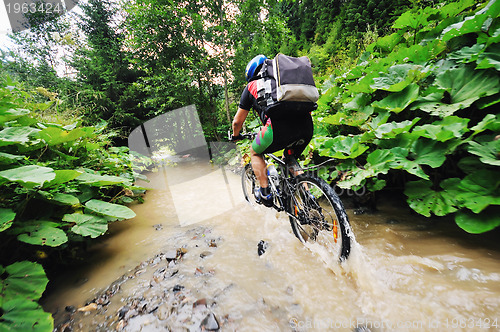 Image of wetmtb