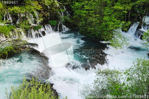 Image of river waterfall wild 