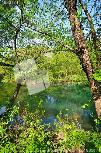 Image of river waterfall wild 