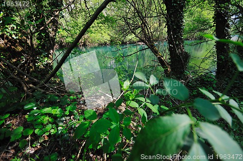 Image of river waterfall wild 