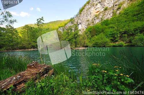 Image of river waterfall wild 