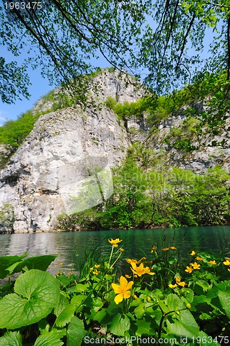 Image of river waterfall wild 