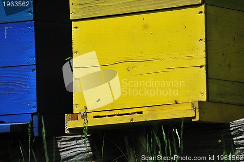 Image of bee home at meadow