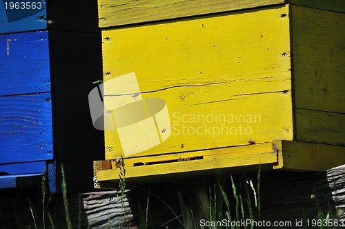 Image of bee home at meadow