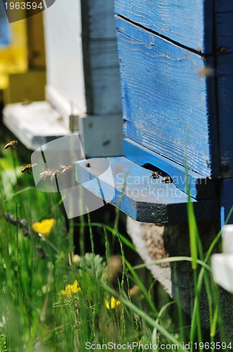 Image of bee home at meadow