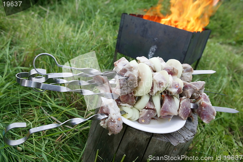 Image of shashlik and fire