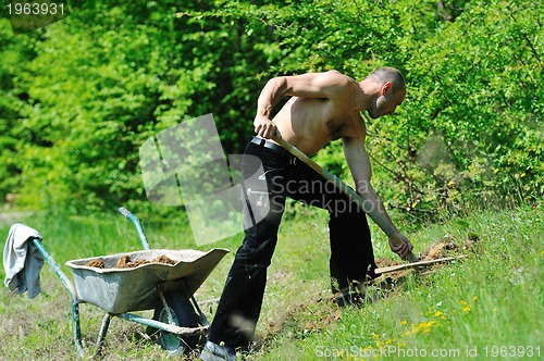 Image of man garden work