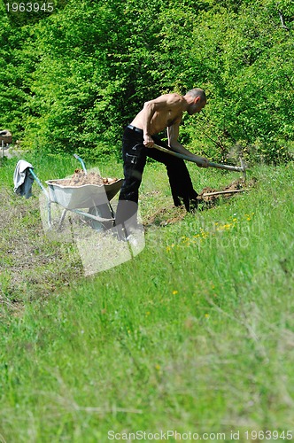 Image of man garden work