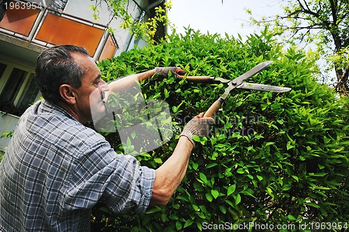 Image of man garden work