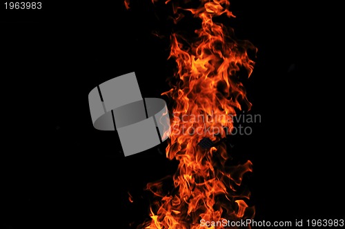 Image of wild fire