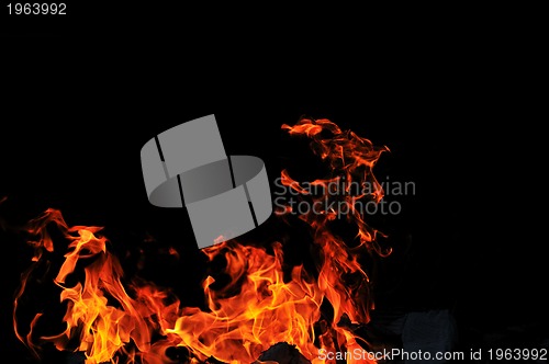 Image of wild fire