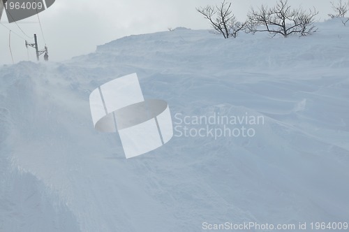 Image of winter landscape