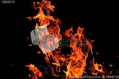 Image of wild fire