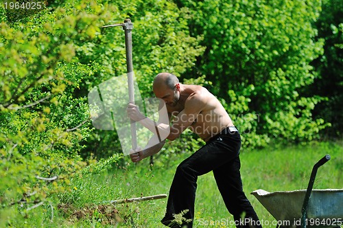 Image of man garden work