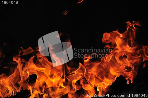 Image of wild fire