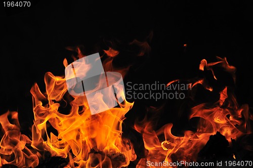 Image of wild fire