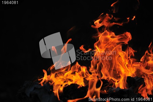 Image of wild fire