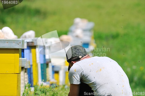 Image of man outdoor