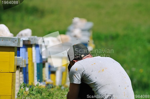 Image of man outdoor